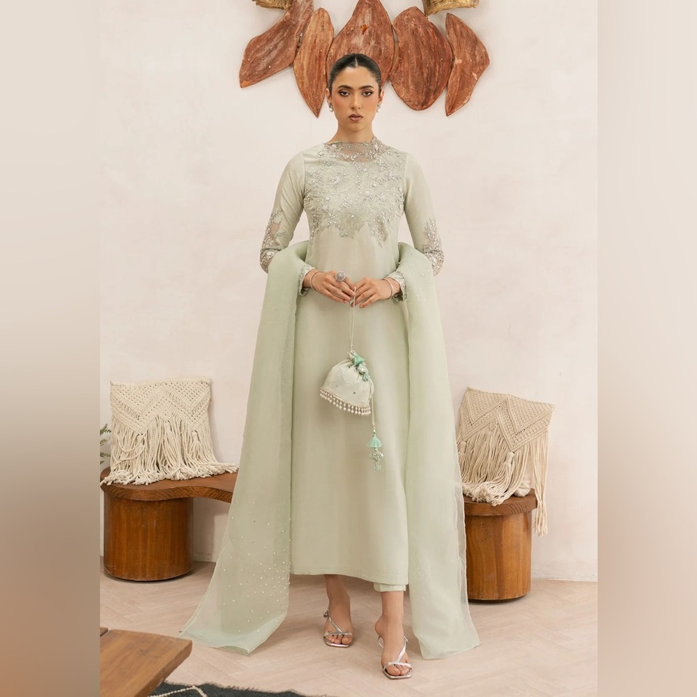 Pakistani Green Embroidered Dress / Elegant